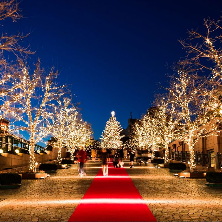 The Magic of Christmas Lights: How to Make Your Home Shine This Holiday Season